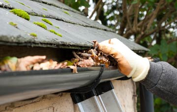 gutter cleaning Dalqueich, Perth And Kinross