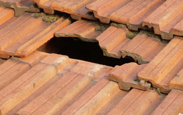 roof repair Dalqueich, Perth And Kinross